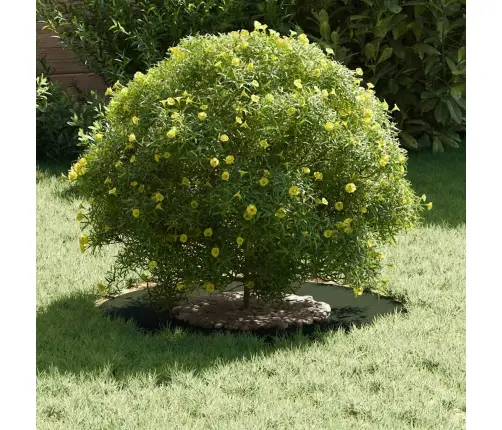 Olīvu Zaļš Pods Olīvu Zaļš Plastmasa Vidējs Dekoratīvie Ielaidi Vidaxl