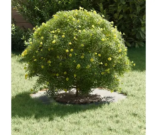 Sobiv Lame Puu Rõngaste Jaoks 5 Pcs Hõbedane Ø30 / 60 Cm