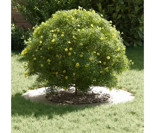 Plastmasas Pods Balts Plastmasa Vidējs Izturīgs Plastmasas Pods Vidaxl