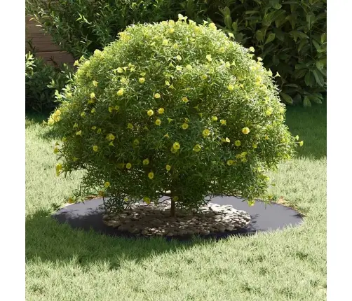 Tinkamas Plokštiems Medžio Žiedams 5 Pcs Antracitas Ø40 / 70 Cm