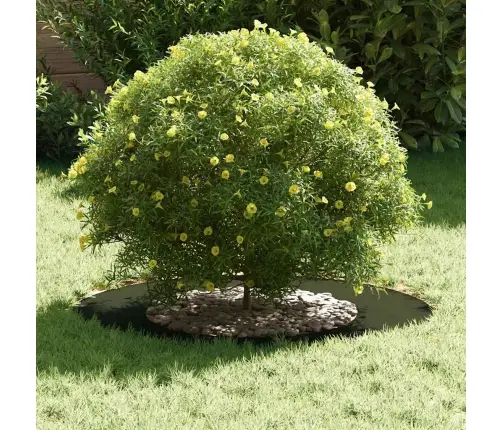 Medžių Ratas Alyvuogių Žalia Ø40 / 70 Cm Šaltai Valcuotas Plienas