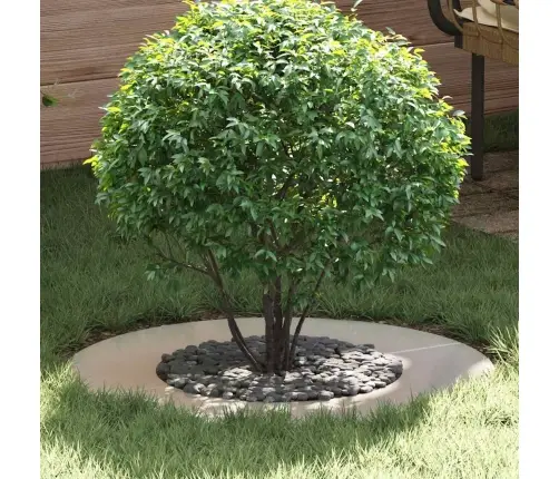 Sobiv Lame Puu Rõngale Hõbedane Ø40 / 70 Cm Roostevaba Teras