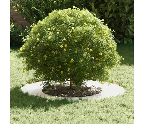 Nerūsējošā Tērauda Pods Nerūsējošais Tērauds Liels Izturīgs Vidaxl