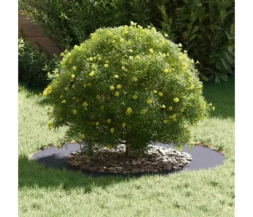 Tinkamas Plokštiems Medžio Žiedams 5 Pcs Antracitas Ø50 / 80 Cm