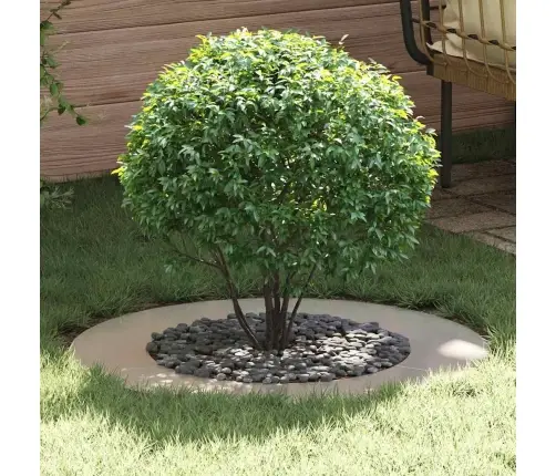 Sobiv Lame Puu Rõngale Hõbedane Ø50 / 80 Cm Roostevaba Teras