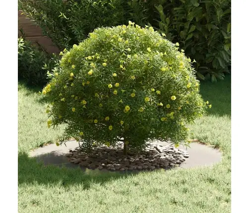 Sobiv Lame Puu Rõngale Hõbedane Ø50 / 80 Cm Roostevaba Teras