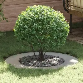 Lamedad Puuringid 5 Pcs Hõbedane Ø50 / 80 Cm Tsingitud Teras