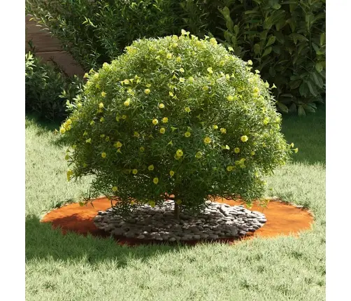 Corten Tērauda Pods Corten Tērauds Liels Dekoratīvie Ielaidumi Vidaxl