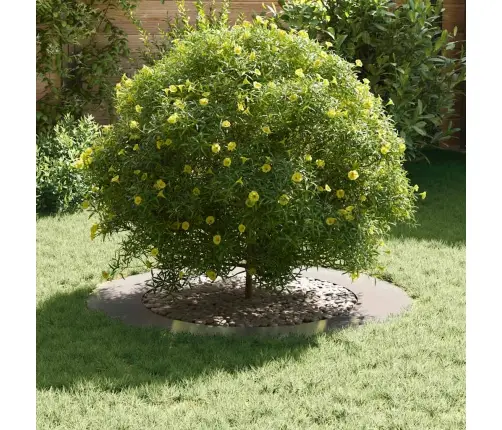 Nerūsējošā Tērauda Pods Nerūsējošais Tērauds Liels Izturīgs Vidaxl