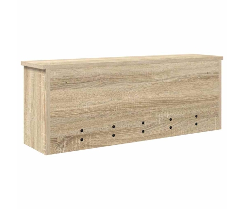 Sienas Pakaramais Ar Plauktu Sonomas Ozola 80 X 20 X 30 Cm Vidaxl