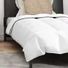 Žiemos Antklodė Su Pagalve 2 Pcs Balta Plunksna