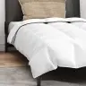 Sega Ar Spilvenu 2 Pcs Balta 150 X 200 Cm Dūnas Vidaxl