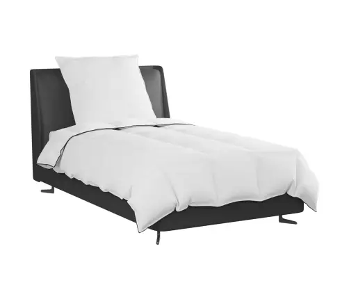 Sega Ar Spilvenu 2 Pcs Balta 135 X 220 Cm Dūnas Vidaxl