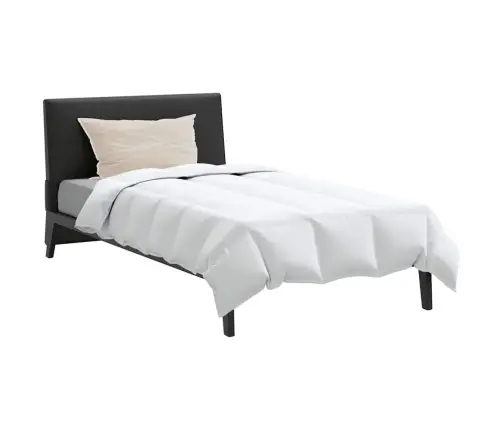 Sega Ar Spilvenu 2 Pcs Balta 155 X 220 Cm Dūnas Vidaxl