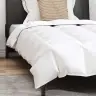 Sega Ar Spilvenu 2 Pcs Balta 140 X 200 Cm Dūnas Vidaxl