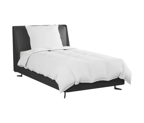 Sega Ar Spilvenu 2 Pcs Balta 155 X 200 Cm Dūnas Vidaxl