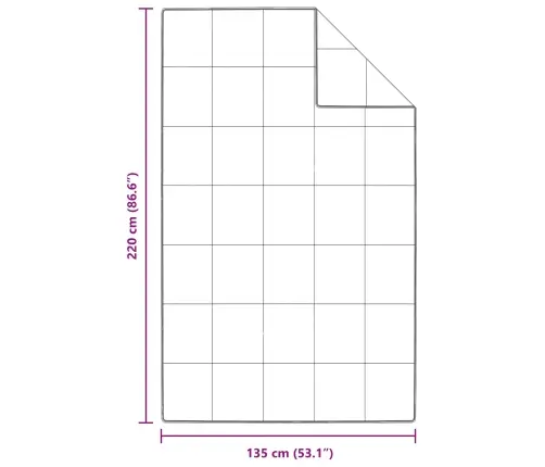 Sega Ar Spilvenu 2 Pcs Balta 135 X 220 Cm Dūnas Vidaxl