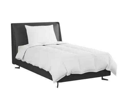 Suvised Teki Padjaga 2 Pcs Valge Down Feather