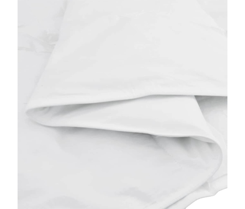Teki Komplekt Padjaga 2 Pcs Valge Udusuled