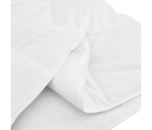 Katteriide Komplekt Padjaga 2 Pcs Valge 140 X 200 Cm Udusuled