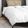 Sega Ar Spilvenu 2 Pcs Balta 155 X 200 Cm Dūnas Vidaxl