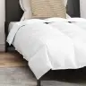 Sega Ar Spilvenu 2 Pcs Balta 155 X 220 Cm Dūnas Vidaxl