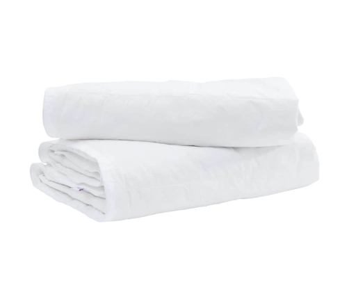 Sega Ar Spilvenu 2 Pcs Balta 135 X 200 Cm Dūnas Vidaxl