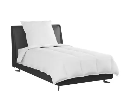 Sega Ar Spilvenu 2 Pcs Balta 155 X 200 Cm Dūnas Vidaxl