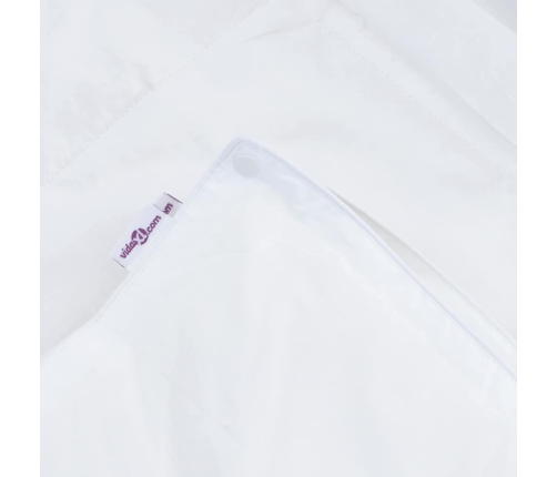 Peit Koos Padjaga Padjaga 2 Pcs Valge Down Feather