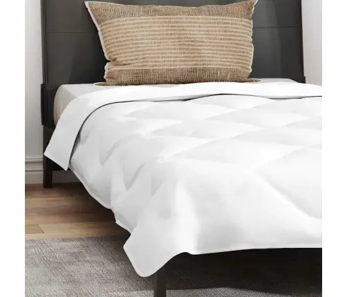 Vasaras Segas Ar Spilvenu 2 Pcs Balta 135 X 200 Cm Mikrošķiedra Vidaxl