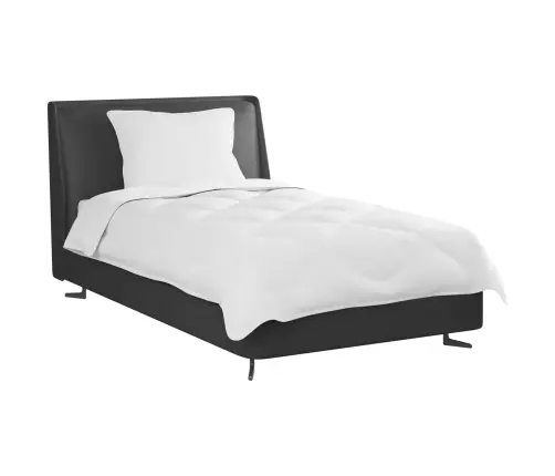 Teki Komplekt Padjaga 2 Pcs Valge Mikrofiiber