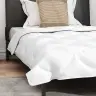 2-In-1 Segu Ar Spilvenu 2 Pcs Balta 140 X 220 Cm Mikrošķiedra Vidaxl