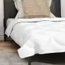 Antklodžių Rinkinys Su Pagalve 2 Pcs Balta Mikropluoštas