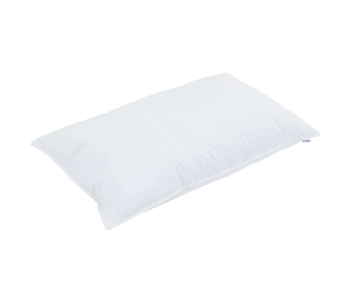 Teki Komplekt Padjaga 2 Pcs Valge Mikrofiiber