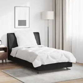 Teki Komplekt Padjaga 2 Pcs Valge Mikrofiiber