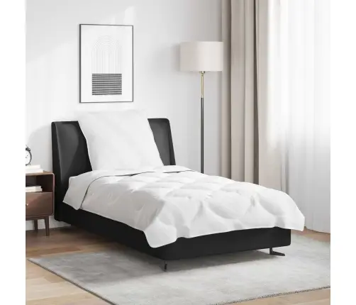 Teki Komplekt Padjaga 2 Pcs Valge Mikrofiiber