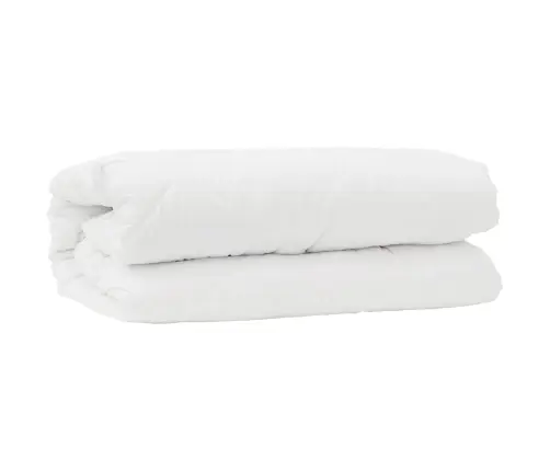 Teki Komplekt Padjaga 2 Pcs Valge Mikrofiiber