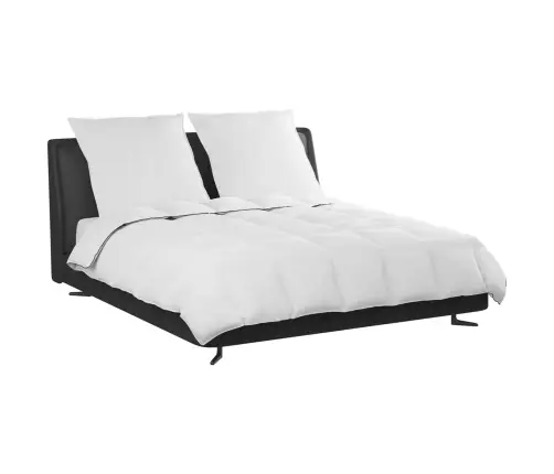 Talve Tek Padjaga 3 Pcs Valge Down Feather