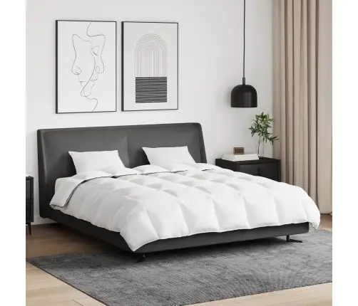 Ziemas Gultas Pārklājs Komplekts Ar Spilvenu 3 Pcs Balts 200 X 220 Cm