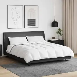 Talve Tek Padjaga 3 Pcs Valge Down Feather