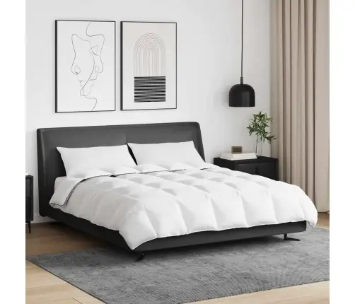 Ziemas Gultas Pārklājs Komplekts Ar Spilvenu 3 Pcs Balts 240 X 220 Cm