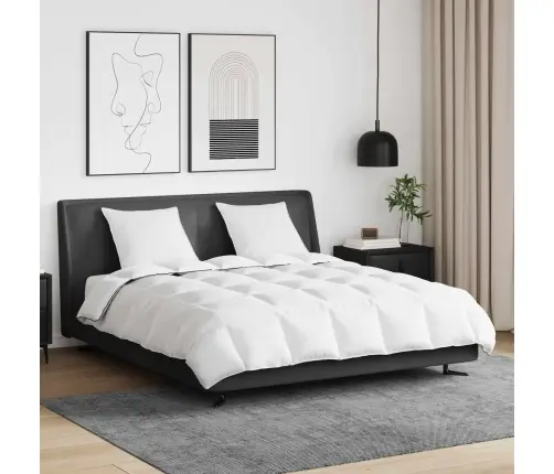 Ziemas Gultas Pārklājs Komplekts Ar Spilvenu 3 Pcs Balts 240 X 220 Cm