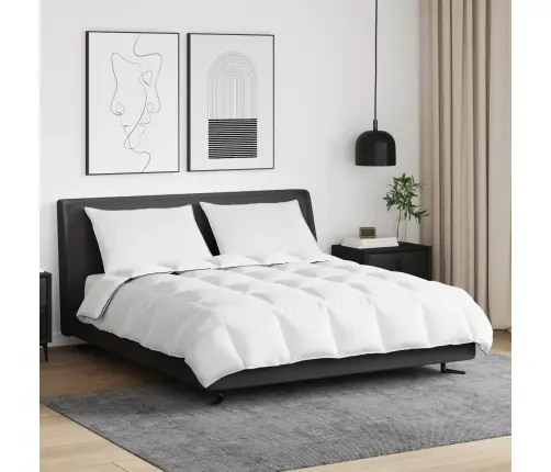 Ziemas Gultas Pārklājs Komplekts Ar Spilvenu 3 Pcs Balts 260 X 220 Cm