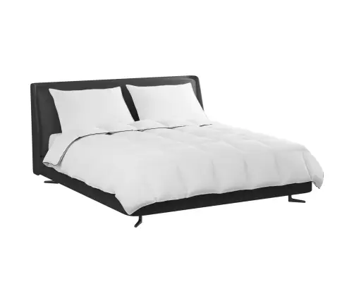 Ziemas Gultas Pārklājs Komplekts Ar Spilvenu 3 Pcs Balts 260 X 220 Cm