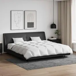 Antklodžių Rinkinys Su Pagalve 3 Pcs Balta Plunksna