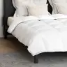 Sega Cits Ar Spilvenu 3 Pcs Balta 240 X 260 Cm Dūnas Vidaxl
