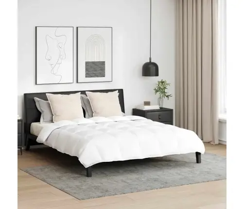 Teki Komplekt Padjaga 3 Pcs Valge Down Feather