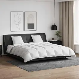 Antklodžių Rinkinys Su Pagalve 3 Pcs Balta Plunksna