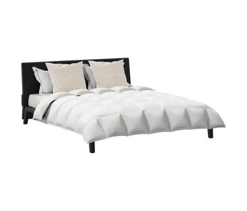 Teki Komplekt Padjaga 3 Pcs Valge Down Feather