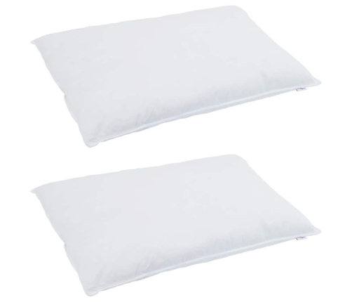 Teki Komplekt Padjaga 3 Pcs Valge Down Feather